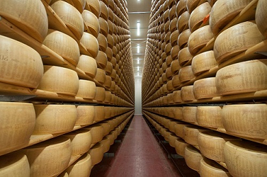 Italian Cheese Tour