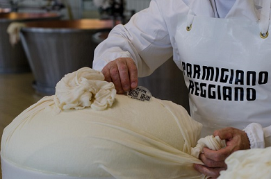 Parmesan Cheese Parmesan Cheese