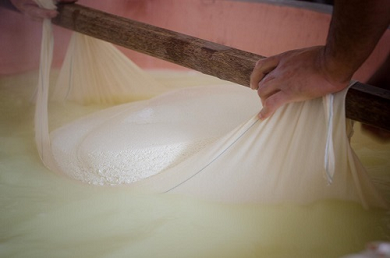 Parmigiano Cheese Tour Parmigiano Cheese Tour