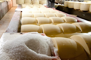 Parmigiano Reggiano Italy Parmigiano Reggiano Italy