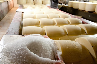 Parmigiano Reggiano Italy